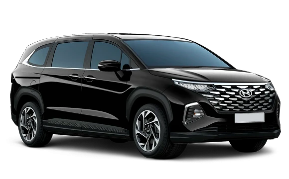 Hyundai Custin 